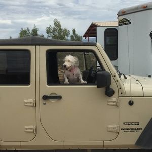 Meet your Posher, Daniel